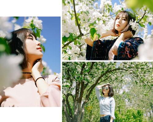 风中的花瓣在线观看,浪漫邂逅,命运交织的青春旋律 第2张 风中的花瓣在线观看,浪漫邂逅,命运交织的青春旋律 第2张